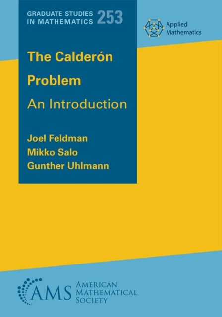 The Calderon Problem - An Introduction