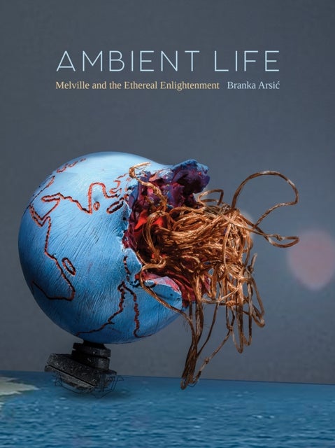 Ambient Life Volume 80 - Melville and the Ethereal Enlightenment
