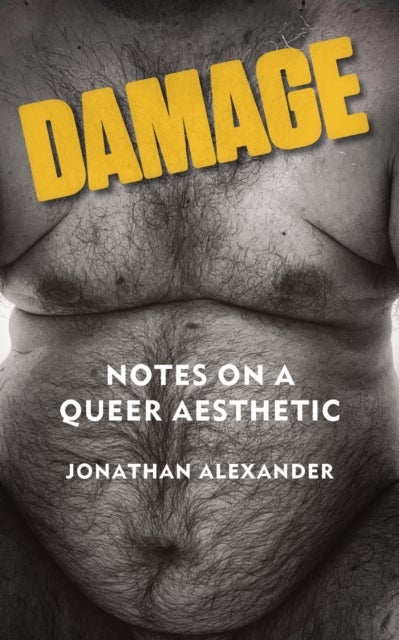 Damage - Notes on a Queer Aesthetic
