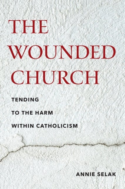 The Wounded Church - Tending to the Harm Within Catholicism