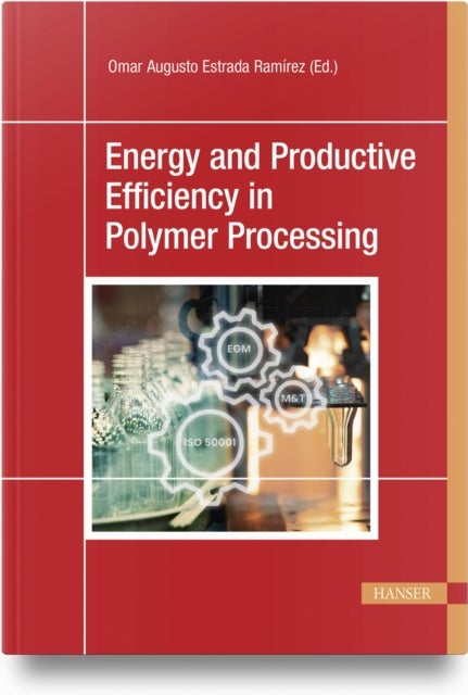Energy and Productive Efficiency in Polymer Processing - A New Practical Approach with Real-Case Applications