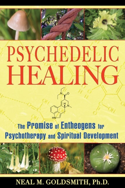 Psychedelic Healing - The Promise of Entheogens for Psychotherapy and Spiritual Development
