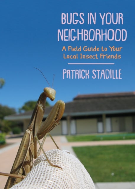 Bugs in Your Neighborhood - A Field Guide to Your Local Insect Friends
