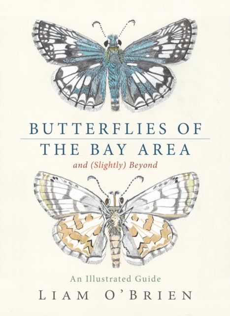 Butterflies of the Bay Area and (Slightly) Beyond - An Illustrated Guide