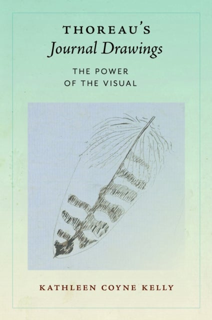 Thoreau's Journal Drawings - The Power of the Visual