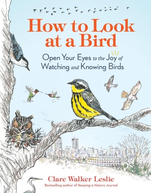 How to Look at a Bird - Open Your Eyes to the Joy of Watching and Knowing Birds