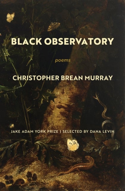 Black Observatory - Poems