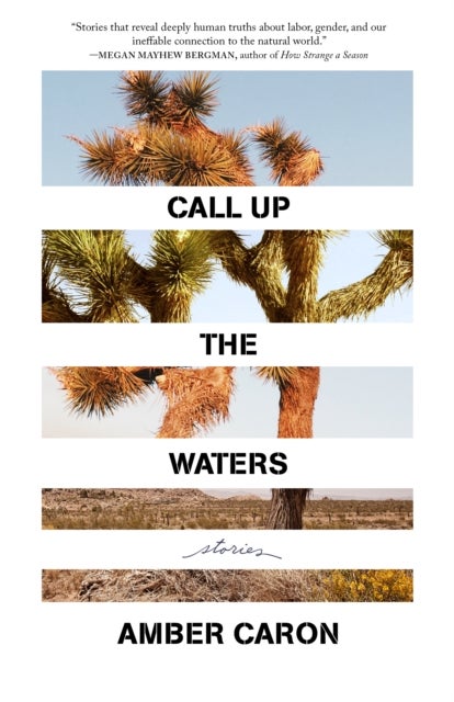 Call Up the Waters - Stories