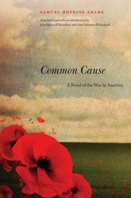 Common Cause - A Novel of the War in America