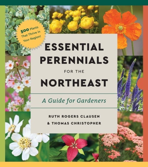 Perennials for the Northeast - A Comprehensive Guide