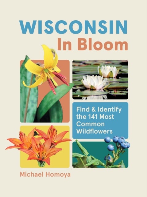 Wisconsin in Bloom - Find and Identify the 141 Most Common Wildflowers