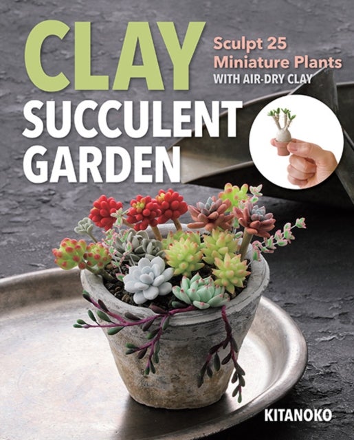 Clay Succulent Garden - Sculpt 25 Miniature Plants with Air-Dry Clay