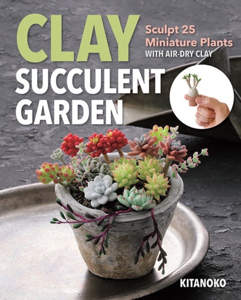 Clay Succulent Garden - Sculpt 25 Miniature Plants with Air-Dry Clay