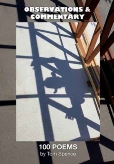 Observations and Commentary - One Hundred Poems