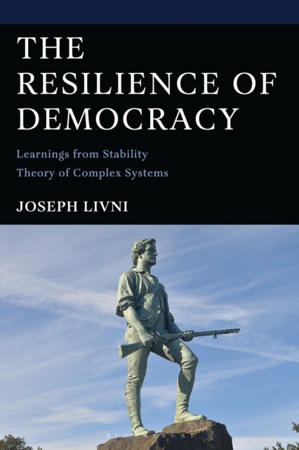The Resilience of Democracy - Learnings from Stability Theory of Complex Systems