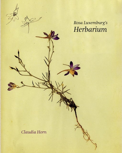 Rosa Luxemburg's Herbarium