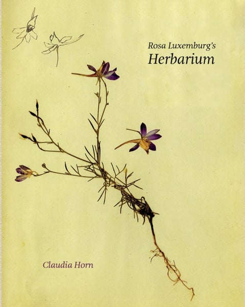 Rosa Luxemburg's Herbarium