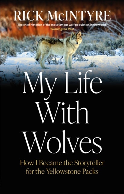 My Life With Wolves - How I Became the Storyteller for the Yellowstone Packs