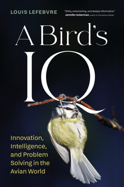 A Bird's IQ - Innovation, Learning, and Problem Solving in the Avian World