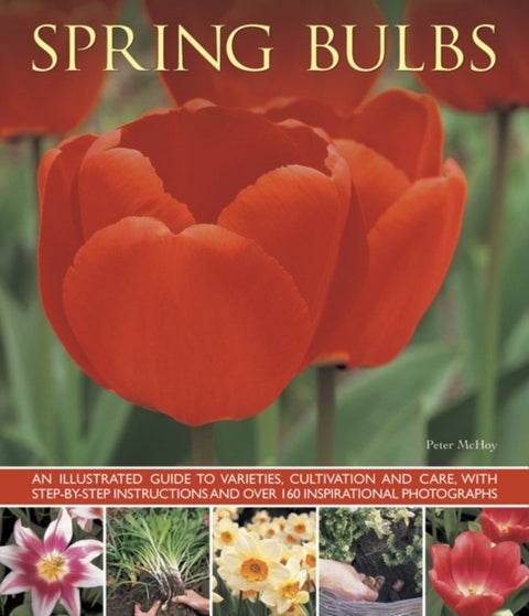 Spring Bulbs