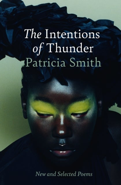 The Intentions of Thunder - New and Selected Poems