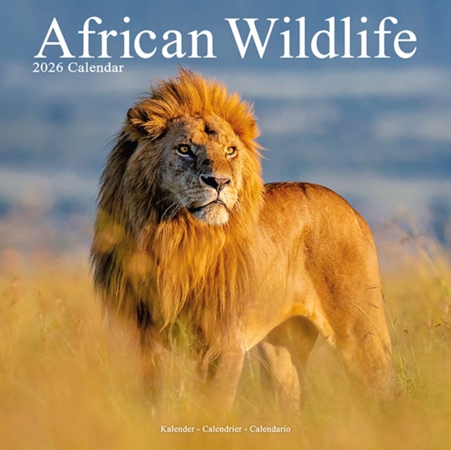Kalender 2026 30x30 African Wildlife
