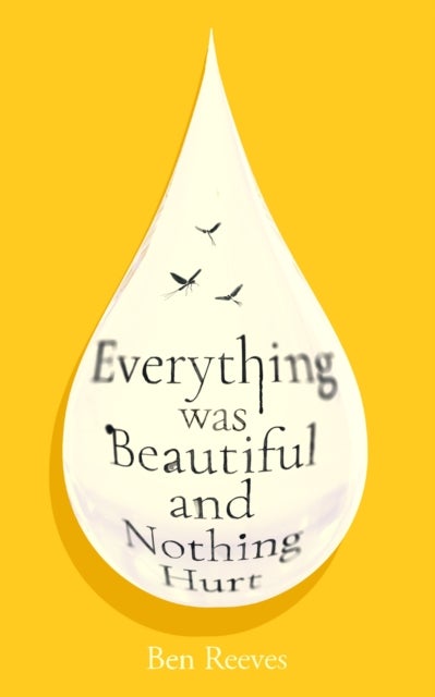 Everything was Beautiful and Nothing Hurt