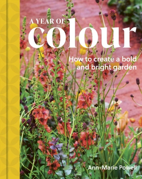 A Year of Colour - How to create a bold and bright garden