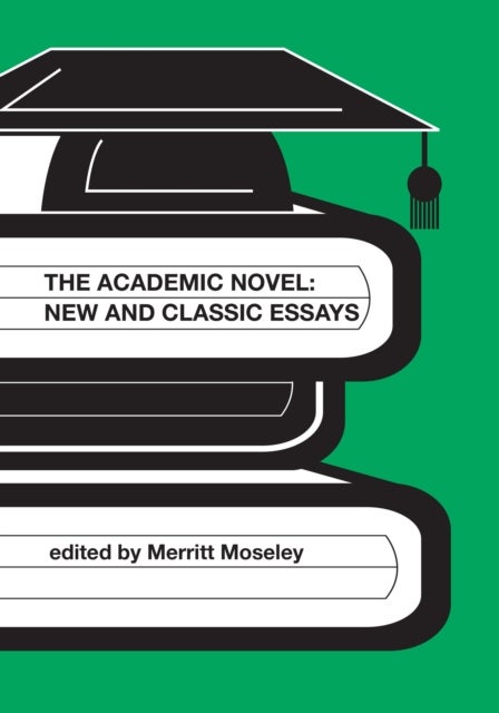 The Academic Novel - New and Classic Essays