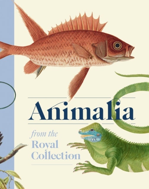 Animalia - From the Royal Collection