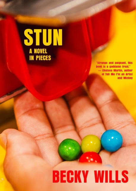 Stun - A Novel in Pieces