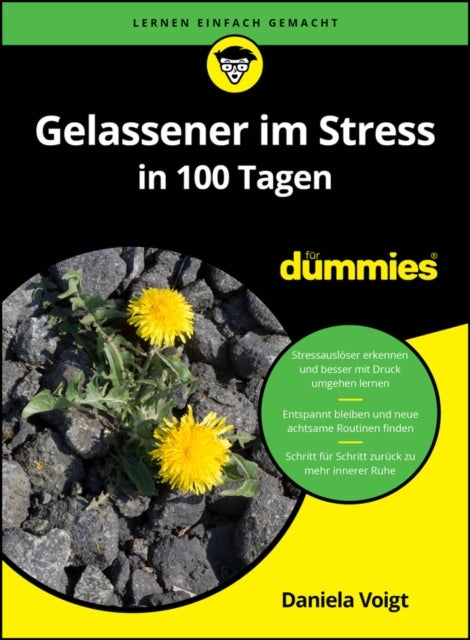 Gelassener im Stress in 100 Tagen fur Dummies