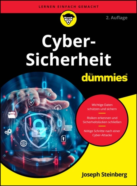 Cyber-Sicherheit fur Dummies