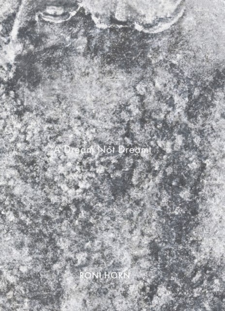 Roni Horn: A Dream Not Dreamt