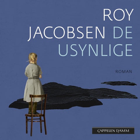 De usynlige - roman