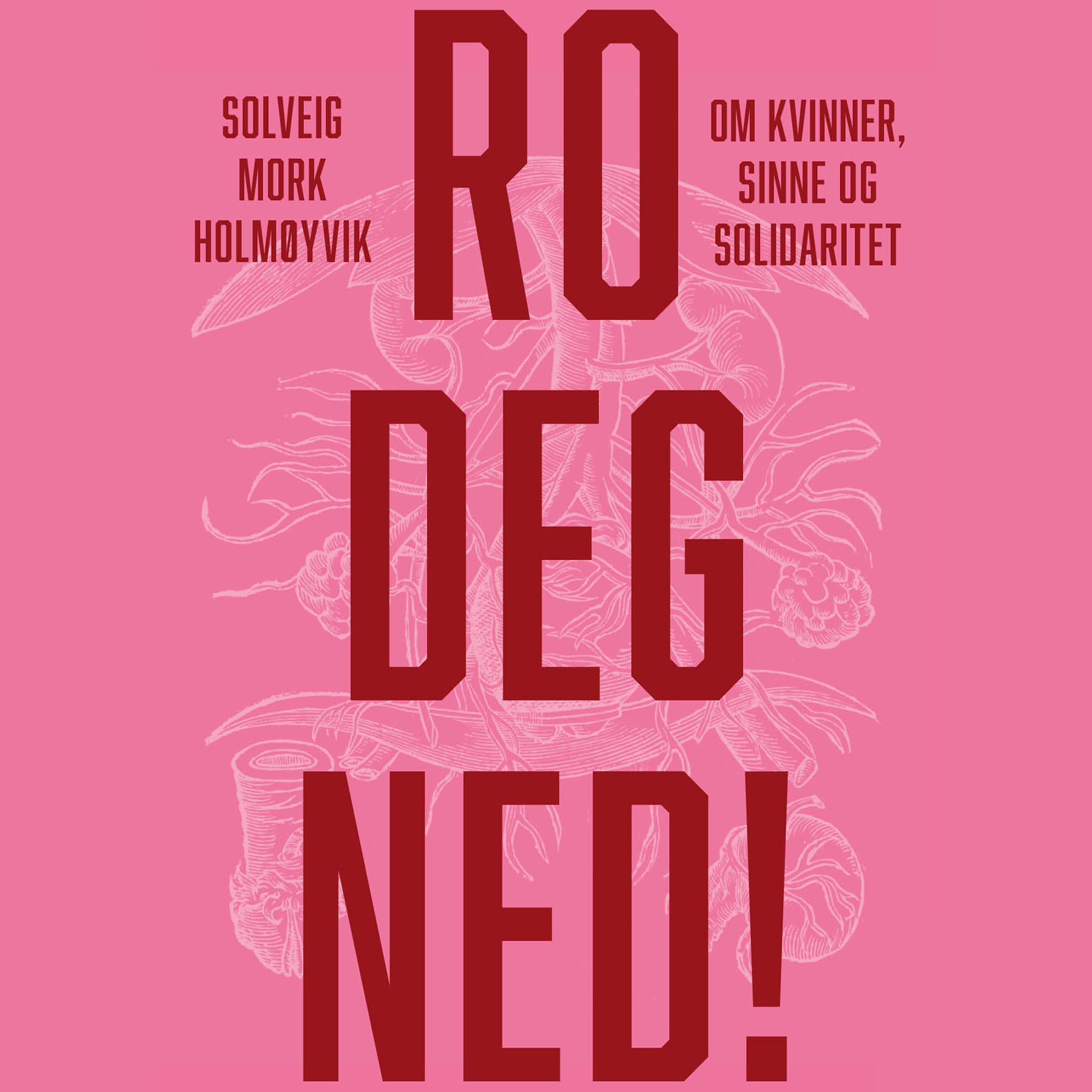 Ro deg ned! - om kvinner, sinne og solidaritet