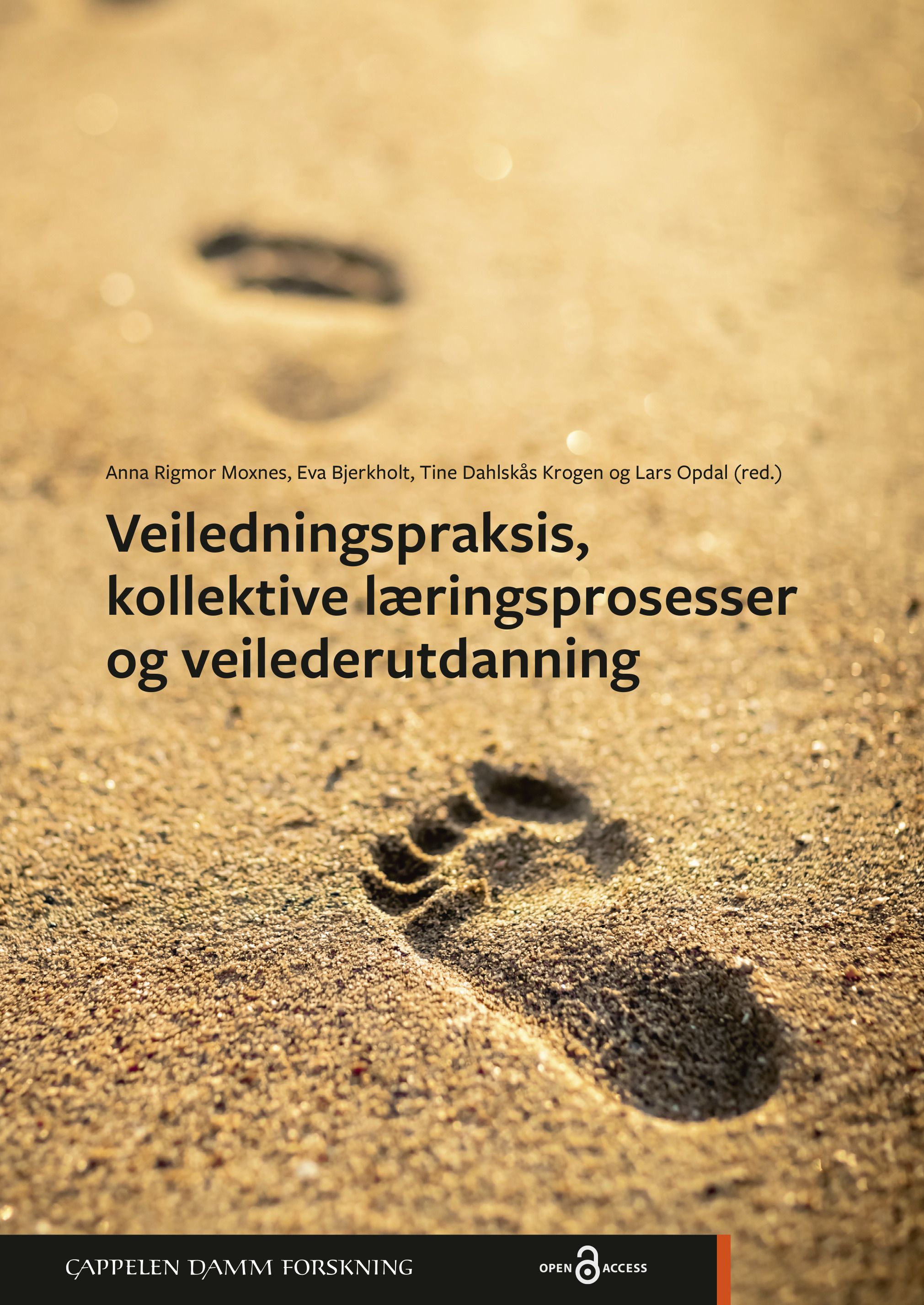 Veiledningspraksis, kollektive læringsprosesser og veilederutdanning