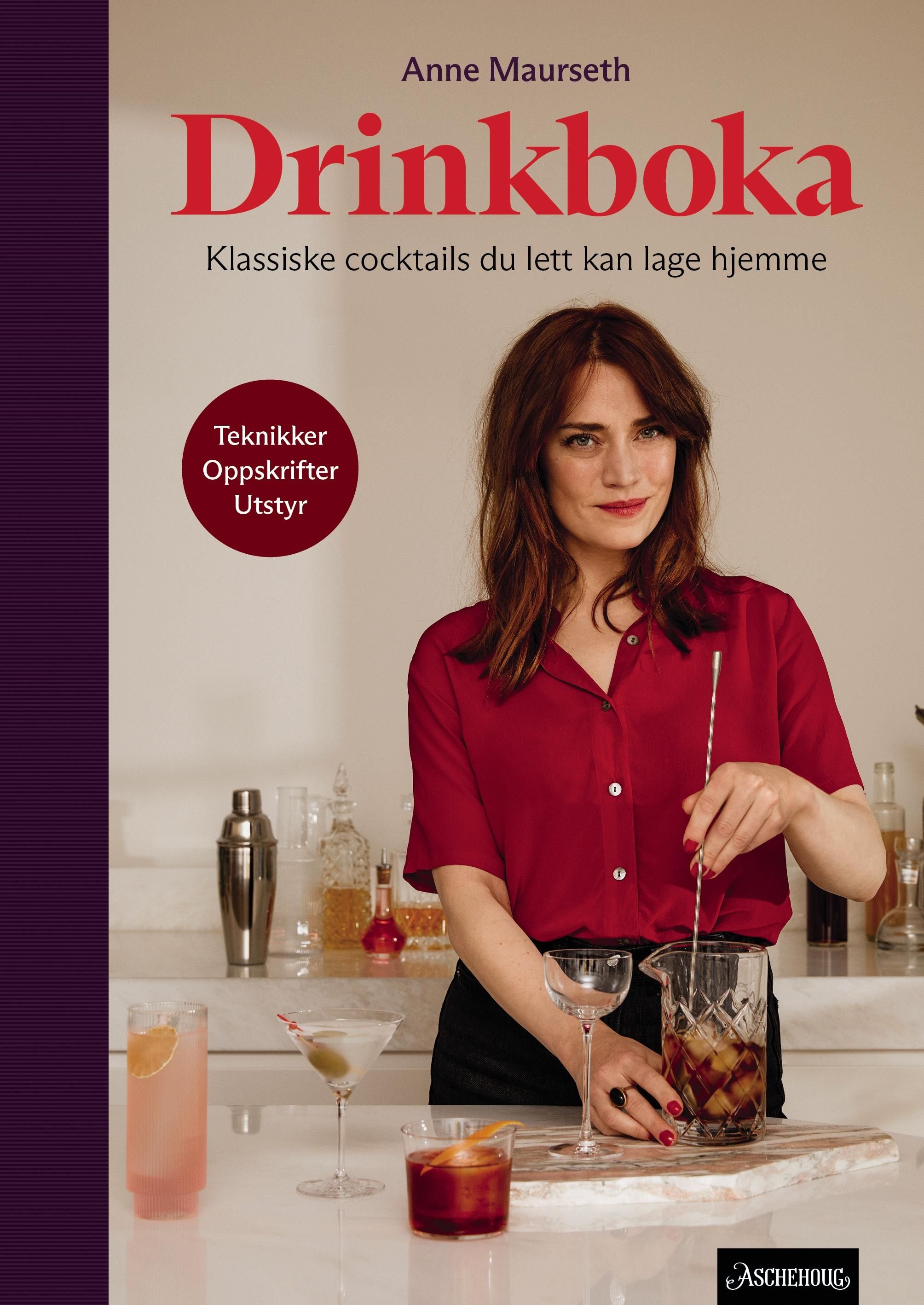 Drinkboka - klassiske cocktails du lett kan lage hjemme