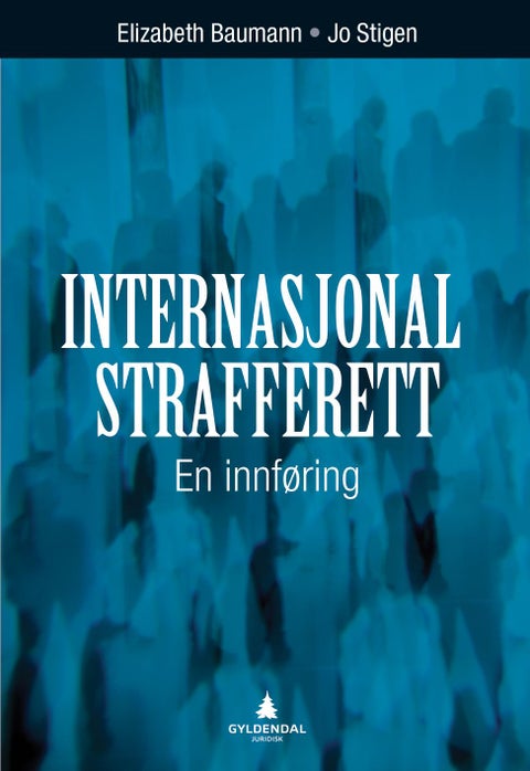 Internasjonal strafferett - en innføring