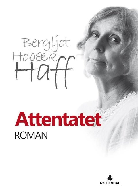 Attentatet - roman
