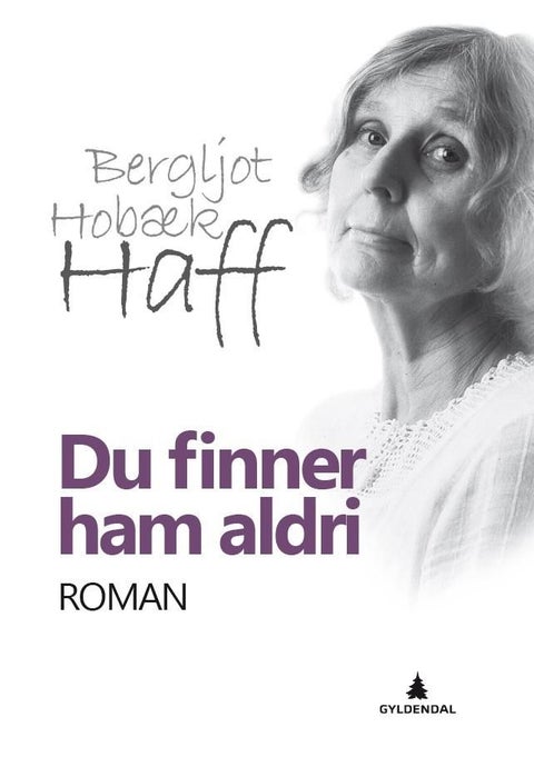 Du finner ham aldri - roman