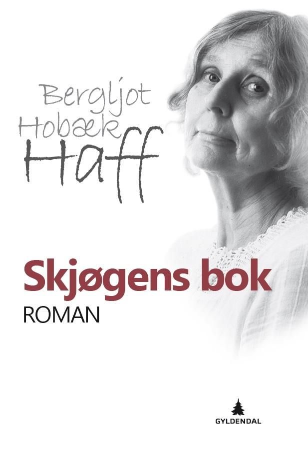 Skjøgens bok - roman