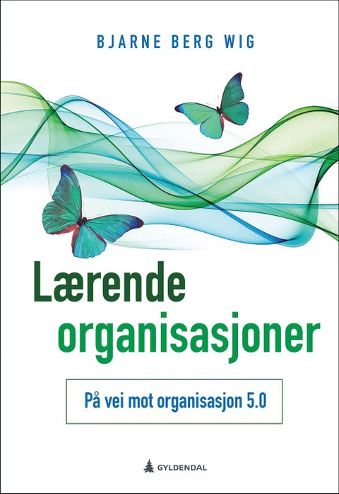 Lærende organisasjoner - på vei mot organisasjon 5.0