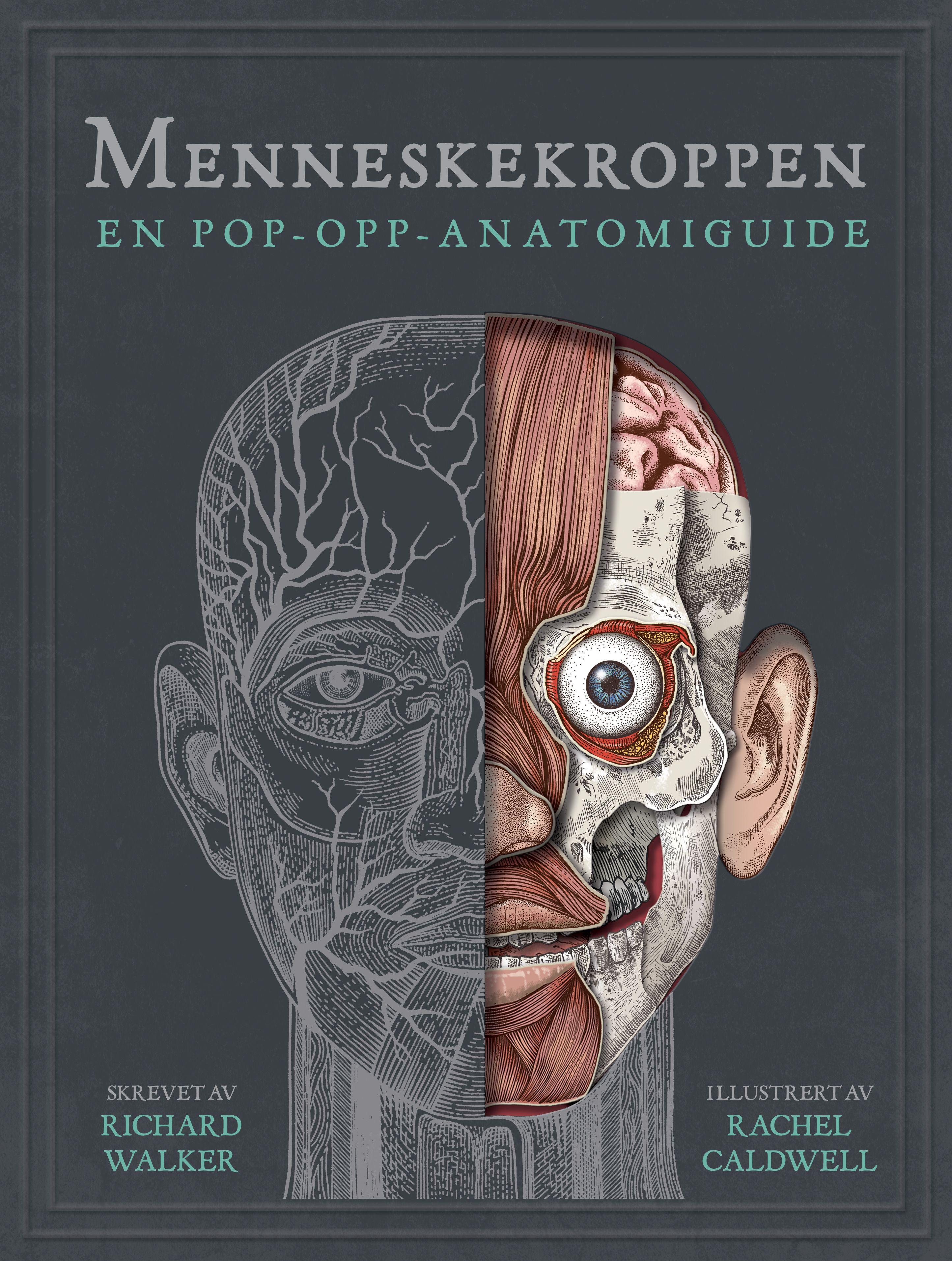 Menneskekroppen - et pop-opp-atlas over menneskekroppen