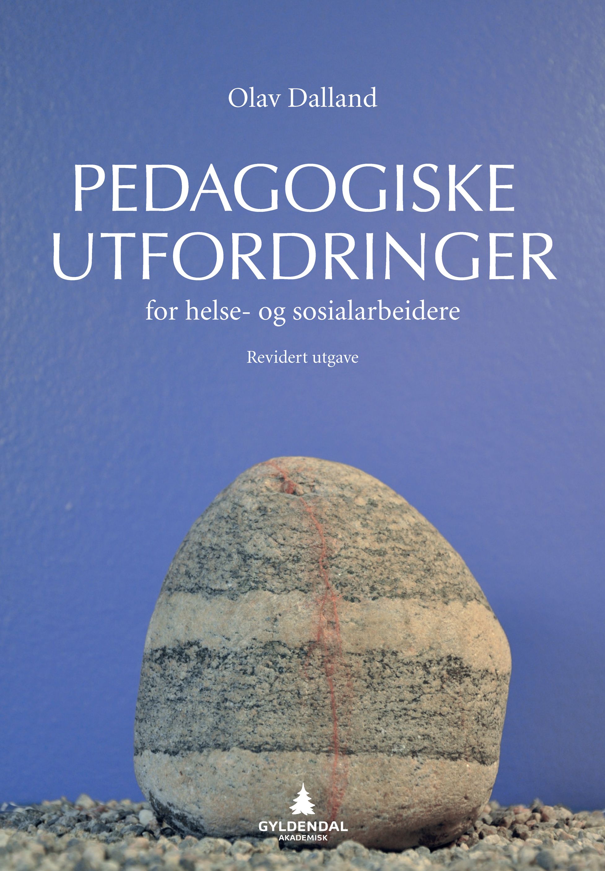 Pedagogiske utfordringer for helse- og sosialarbeidere