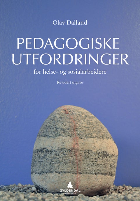 Pedagogiske utfordringer for helse- og sosialarbeidere