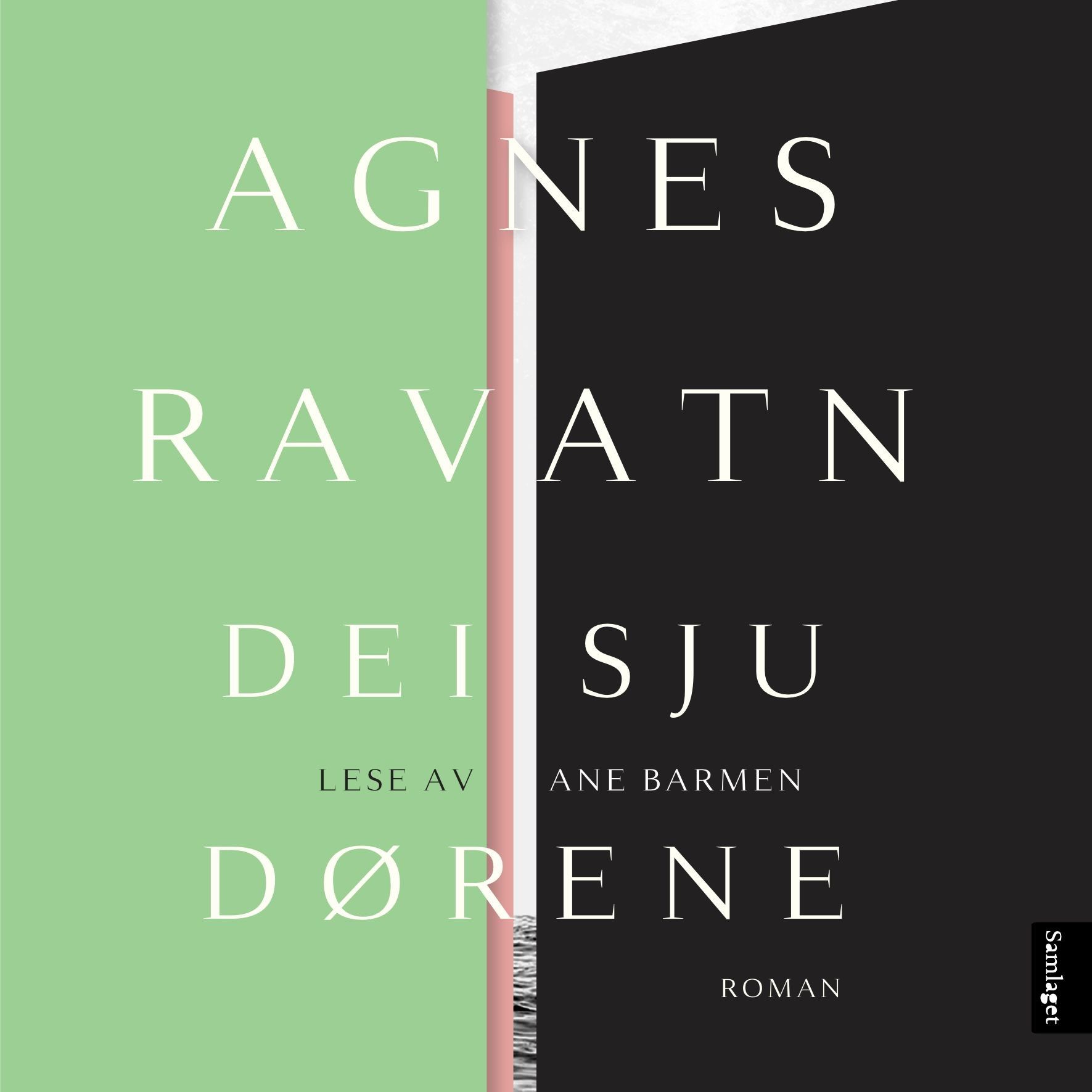 Dei sju dørene - roman