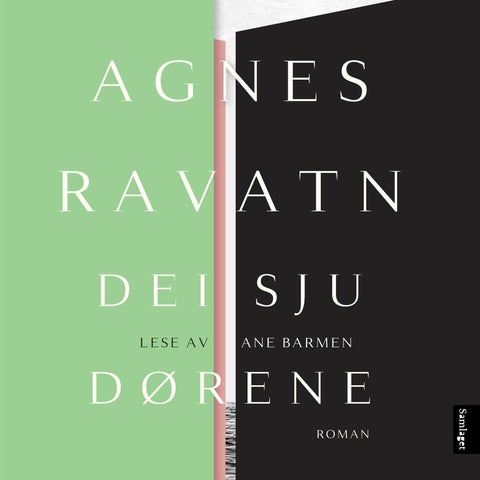 Dei sju dørene - roman
