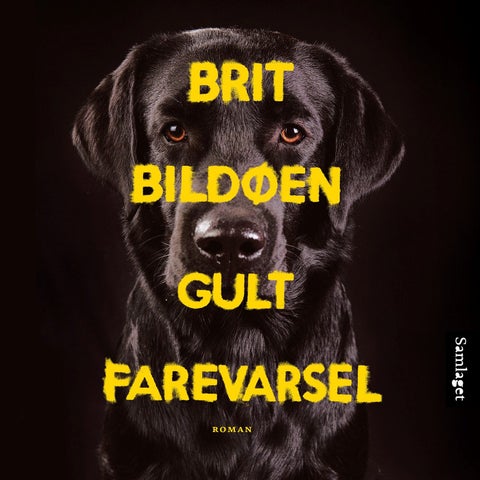 Gult farevarsel - roman
