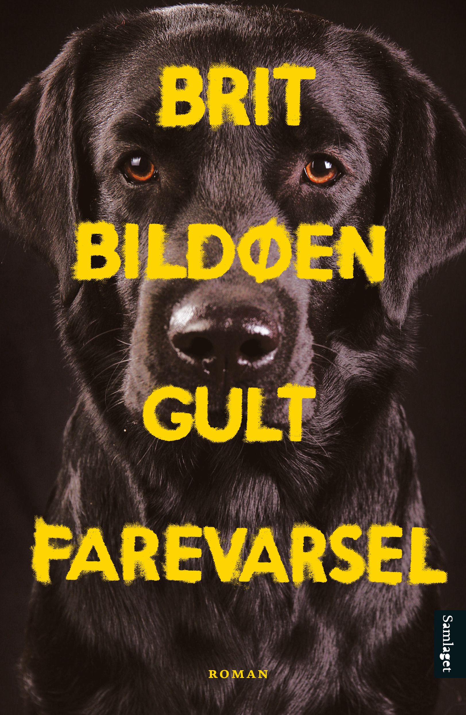 Gult farevarsel - roman